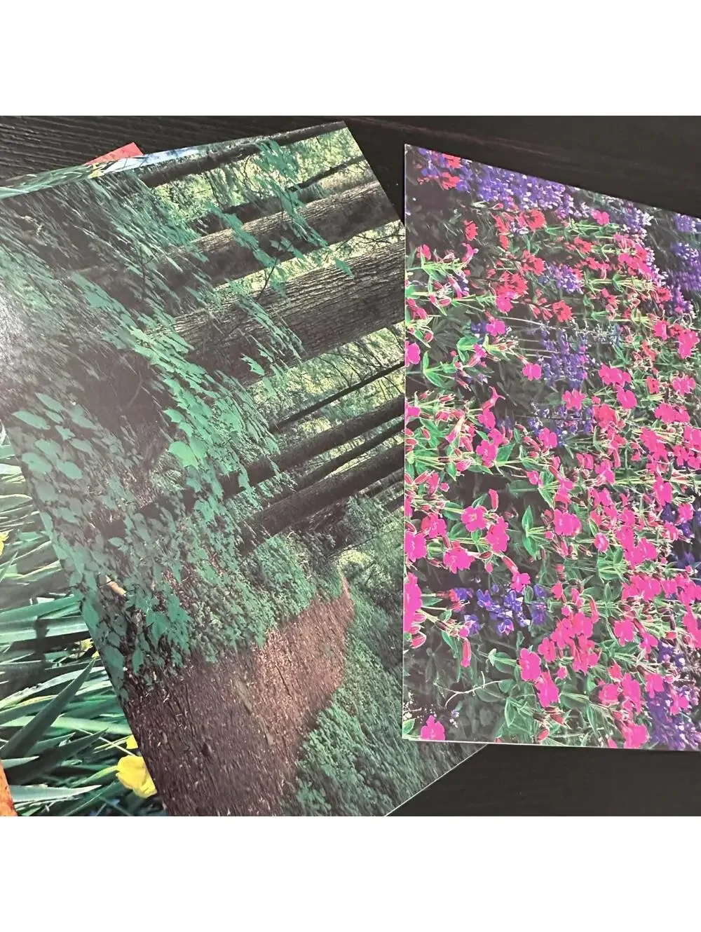 Vintage Current Photography Collection Nature Greeting Cards 7pc Lot New